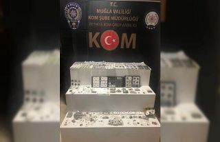 Fethiye’de tarihi eser operasyonu