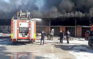 Fidan üretim tesisinde yangın