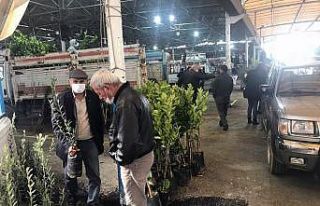 Fidanlar üreticilere teslim edildi