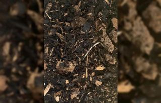 Firmaların başı sahteleri ile dertte