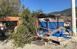 Fırtına Akbük’te hasara yol açtı