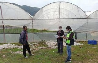 Fırtınada zarar gören seralar için çalışma...