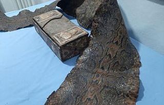Gaziantep’te İbranice yazıların bulunduğu piton...