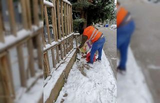 Gediz Belediyesi soğuk günlerde sokak hayvanlarını...