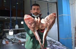 Görenleri hem korkuttu hem  şaşırttı