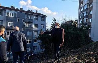 Gülüç’te mahalleler güzelleşiyor