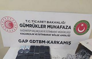 Gümrük kapısında göçmen kaçakçılığına...