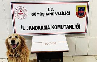 Gümüşhane’de extacy hap ve tütün operasyonu