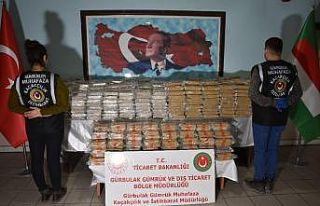 Gürbulak Gümrük Kapısında rekor seviyede, 400...