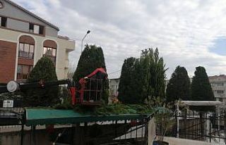 Gürsu Belediyesi kamusal alanlara bakım yapıyor