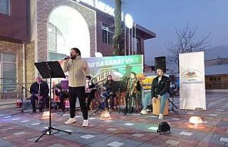 Gürsu Gençlik Merkezinden online sokak konseri