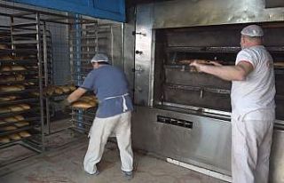 Hafta sonu sokaklar sokak hayvanlarına kaldı