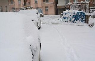 Hakkari’de 162 yerleşim yerinin yolu ulaşıma...