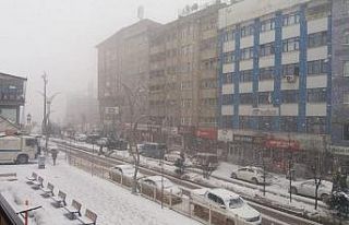 Hakkari’de kar ve sis etkili oldu