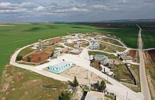 Haliliye’de kırsal mahallelerde yol çalışmaları...