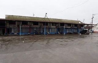 Hamsi ve kıyı balıkçılarının getirdiği balık...