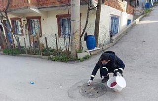 Haşerelere karşı ilâçlama