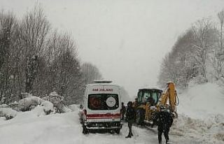 Hasta taşıyan ambulans kara saplandı, yardımına...