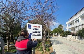 Hayvan dostu Kuşadası Belediyesi’nden örnek bir...