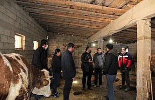 Hayvan yetiştiricileri ve süt üreticilerine destek...