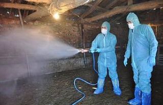 Hayvancılık işletmelerinde temizlik ve dezenfeksiyon...