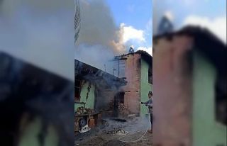 Hayvanlar yanmaktan son anda kurtarıldı