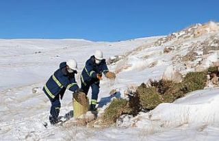 Hem arıza giderdiler hem de yabani hayvanları doyurdular