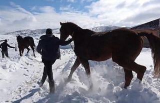 ’Her Mevsim Kırıkkale’ ödüllü fotoğraf yarışması