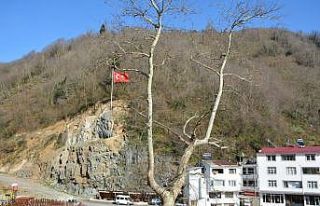 Heyelan sahasına Türk bayrağı