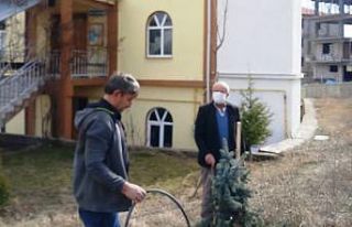Hisarcık Yunus Emre Cami bahçesi ağaçlandırıldı