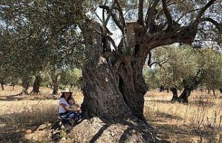 Hobi amaçlı satın aldığı tarlanın içindeki...