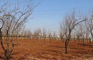 Hobi Bahçesi Proje çalışmaları devam ediyor