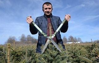 Hobi olarak ektiği fidanların toplam değeri 1,5...