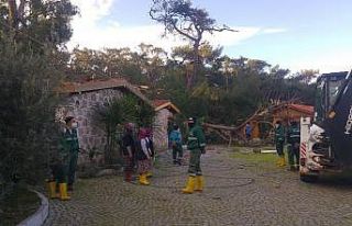 Hortum çatıları uçurdu, asırlık ağaçları...