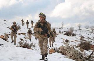 İçişleri Bakanlığınca Bitlis ve Siirt illerinde...