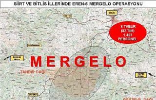 İçişleri Bakanlığınca Bitlis ve Siirt illerinde...