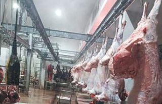 Iğdır’da kesimhanelerde denetim yapıldı