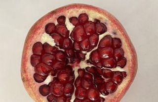 İhracatta nar bereketi