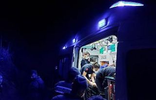 Irmağa yuvarlanan 83 yaşındaki kadın ağır yaralandı