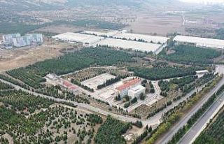 Isparta Belediye Başkanı Başdeğirmen: “1500...