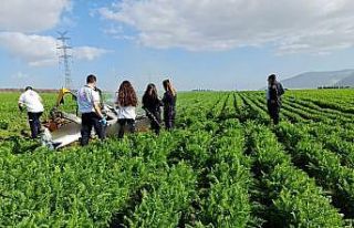 İsrail’de küçük uçak araziye düştü: 2 ölü