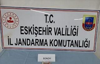 İstanbul’dan Çifteler’e uyuşturucu getiren...