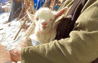 İşte mutluluğun fotoğrafı