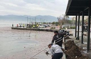 İzmir’de selden sonra körfezden 25 ton çöp toplandı