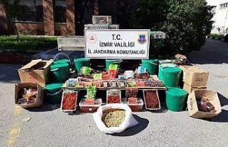 İzmir’de tütün kaçakçılarına yüzbinlerce...