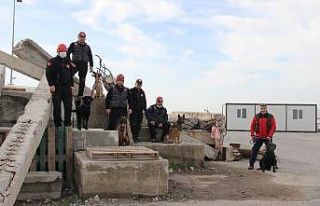 İzmir’in cesur köpekleri