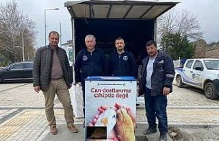 İznik’te can dostlarına yatırım devam ediyor