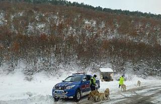 Jandarma can dostları unutmadı