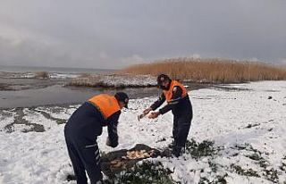 Jandarma doğadaki hayvanları unutmadı