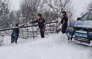 Jandarmadan örnek davranış